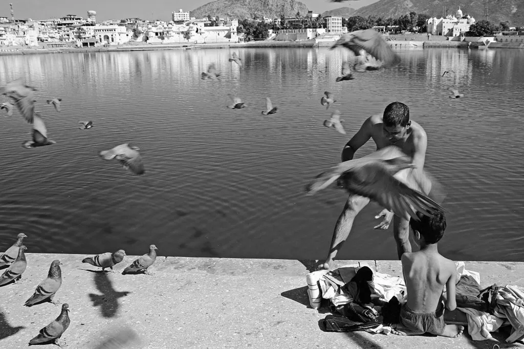 Bathing with the Birds