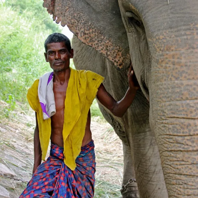 Kanchan sab se sundar hai na